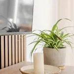 Apartamento Troja Living Helena - Zentral In Bruchsal
