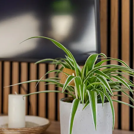 Troja Living Helena - Zentral In Apartment